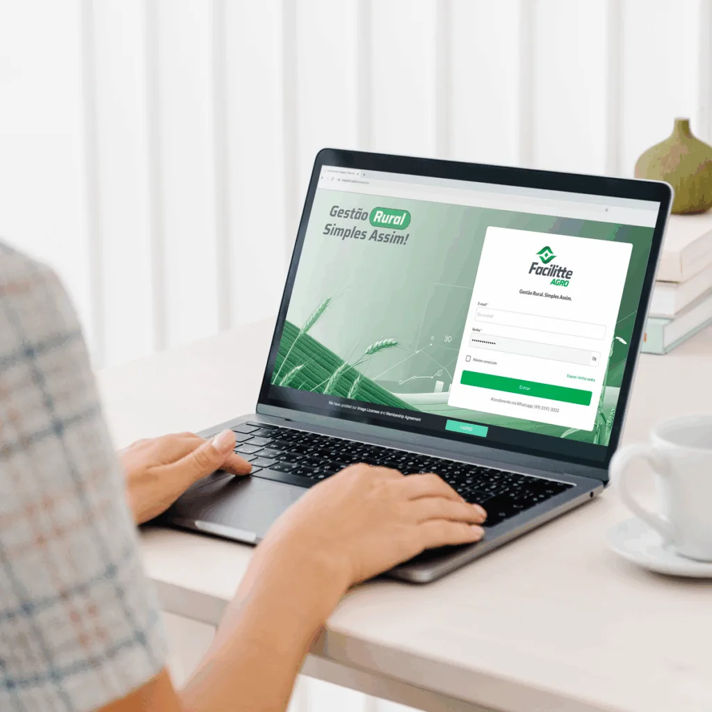 Quem Somos - Sua Gestão Financeira Simplificada